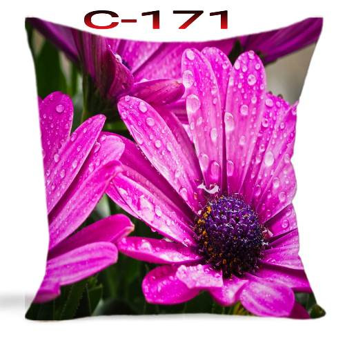 Cushion Cover 16 inch X 16 inch Code-C-171