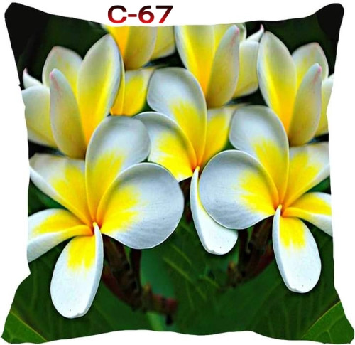 Cushion Cover 16 inch X 16 inch Code-C-67