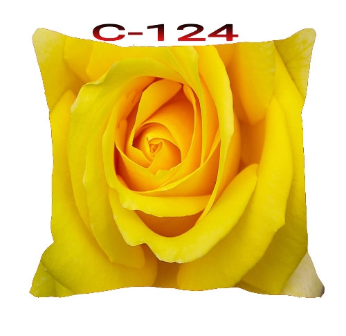 Cushion Cover 16 inch X 16 inch Code-C-124