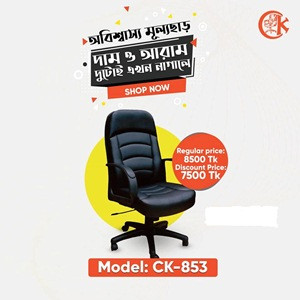 Executive Chair Model CK-853