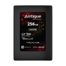 Memory Devices » Solid State Drive (SSD) » 2.5” SATA III SSD » WS5256D