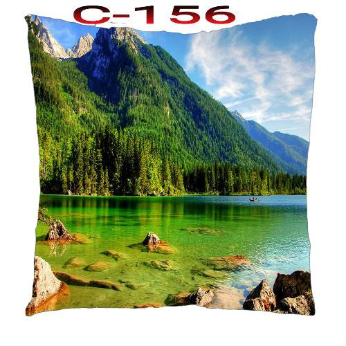 Cushion Cover 16 inch X 16 inch Code-C-156