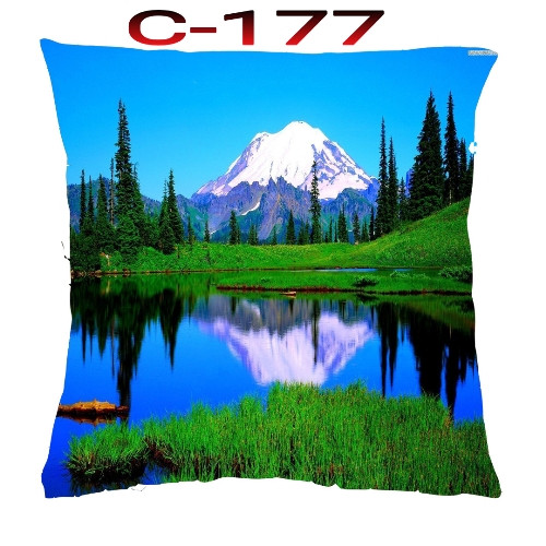 Cushion Cover 16 inch X 16 inch Code-C-177