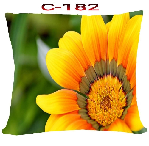 Cushion Cover 16 inch X 16 inch Code-C-182