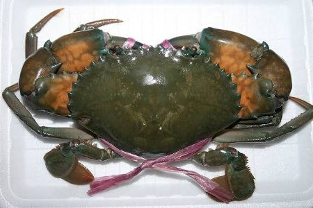 Crab -দেশী_কাঁকড়া