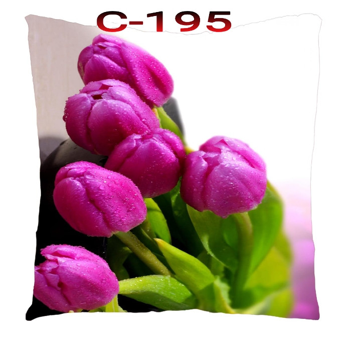 Cushion Cover 16 inch X 16 inch Code-C-195