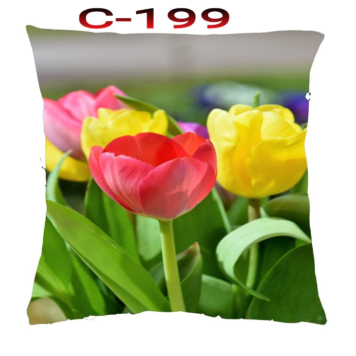 Cushion Cover 16 inch X 16 inch Code-C-199