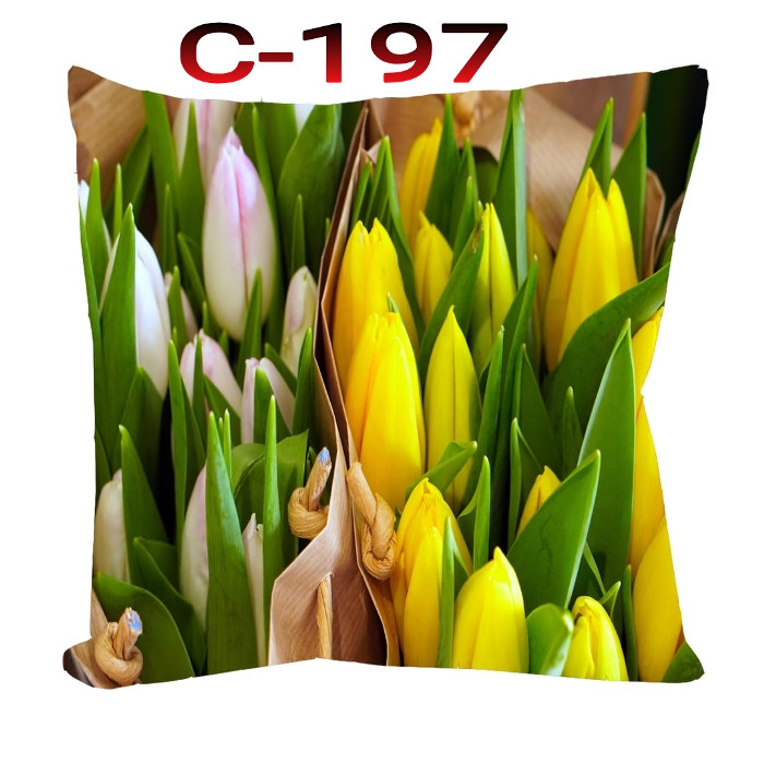 Cushion Cover 16 inch X 16 inch Code-C-197