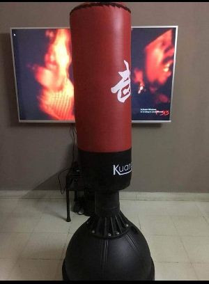 Standing Punching Pillow