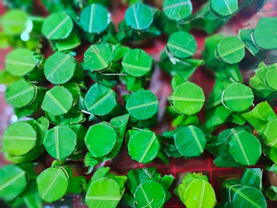 ঐতিহ্যবাহী সন্দ্বীপের_মহিষের_খাঁটি_দই-ওজনঃ১২০০-১৩০০ গ্রাম