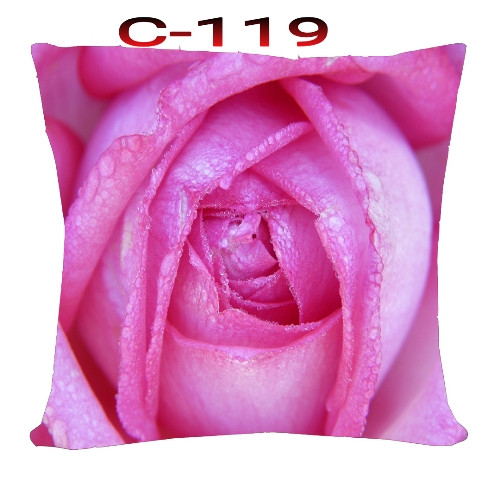 Cushion Cover 16 inch X 16 inch Code-C-119