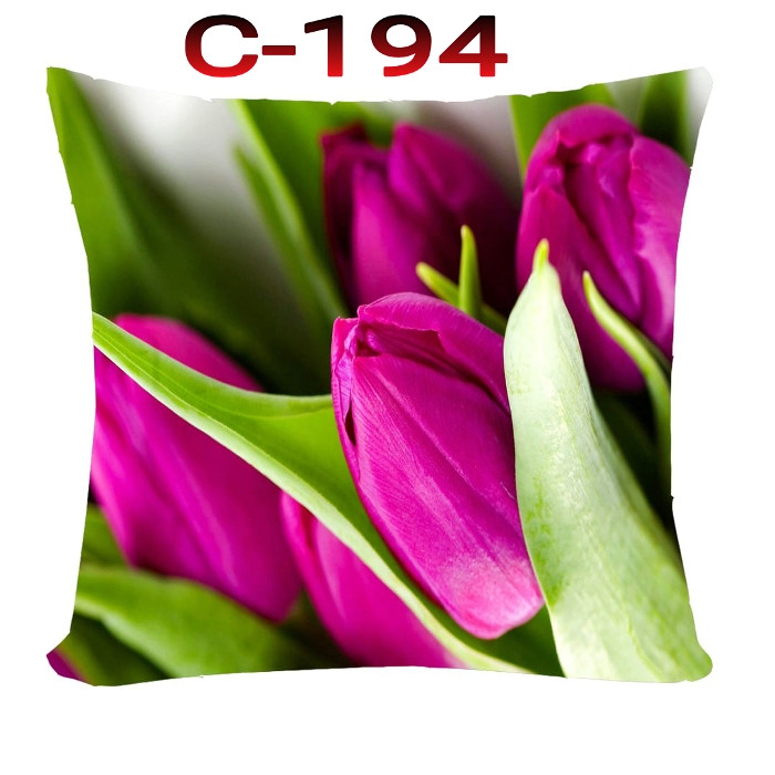 Cushion Cover 16 inch X 16 inch Code-C-194
