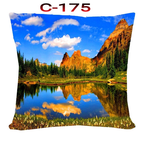Cushion Cover 16 inch X 16 inch Code-C-175