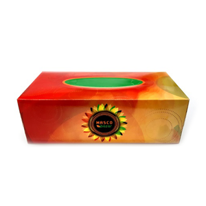 Bashundhara Non Perfumed White Facial Tissue - 120PX2Ply - 10825