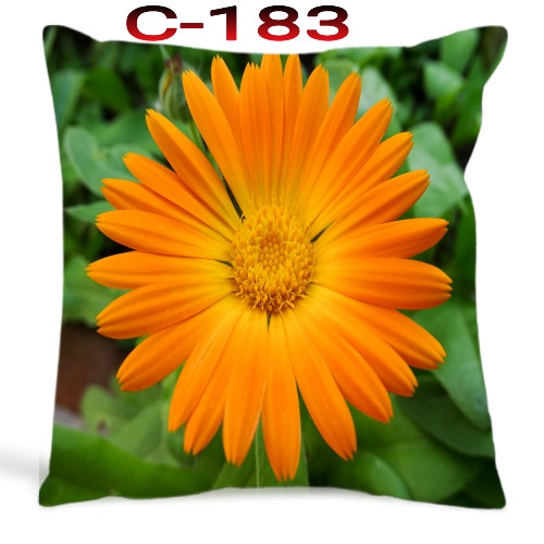Cushion Cover 16 inch X 16 inch Code-C-183