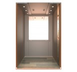 Elevator » Passenger Elevator » WPL01-C1
