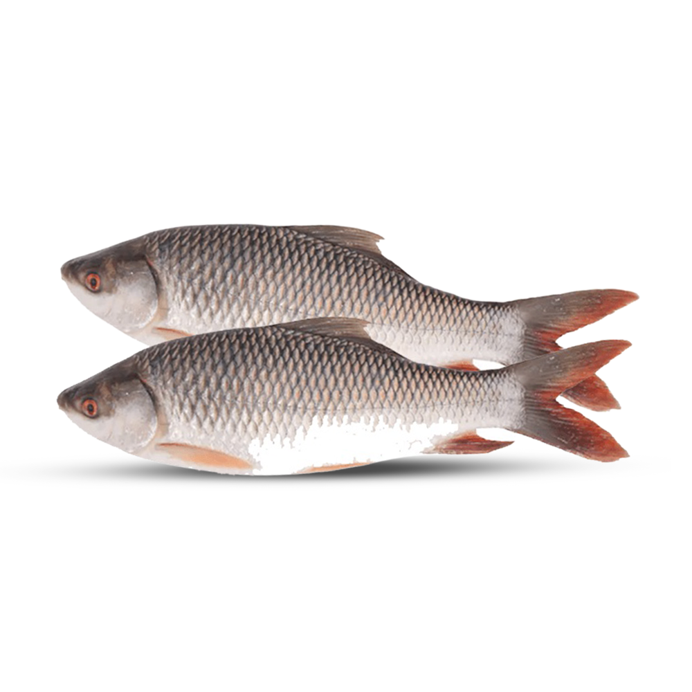 Rui Fish - 2KG - 10008