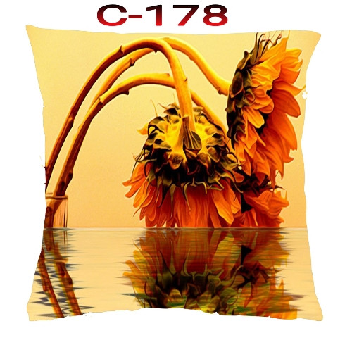 Cushion Cover 16 inch X 16 inch Code-C-178