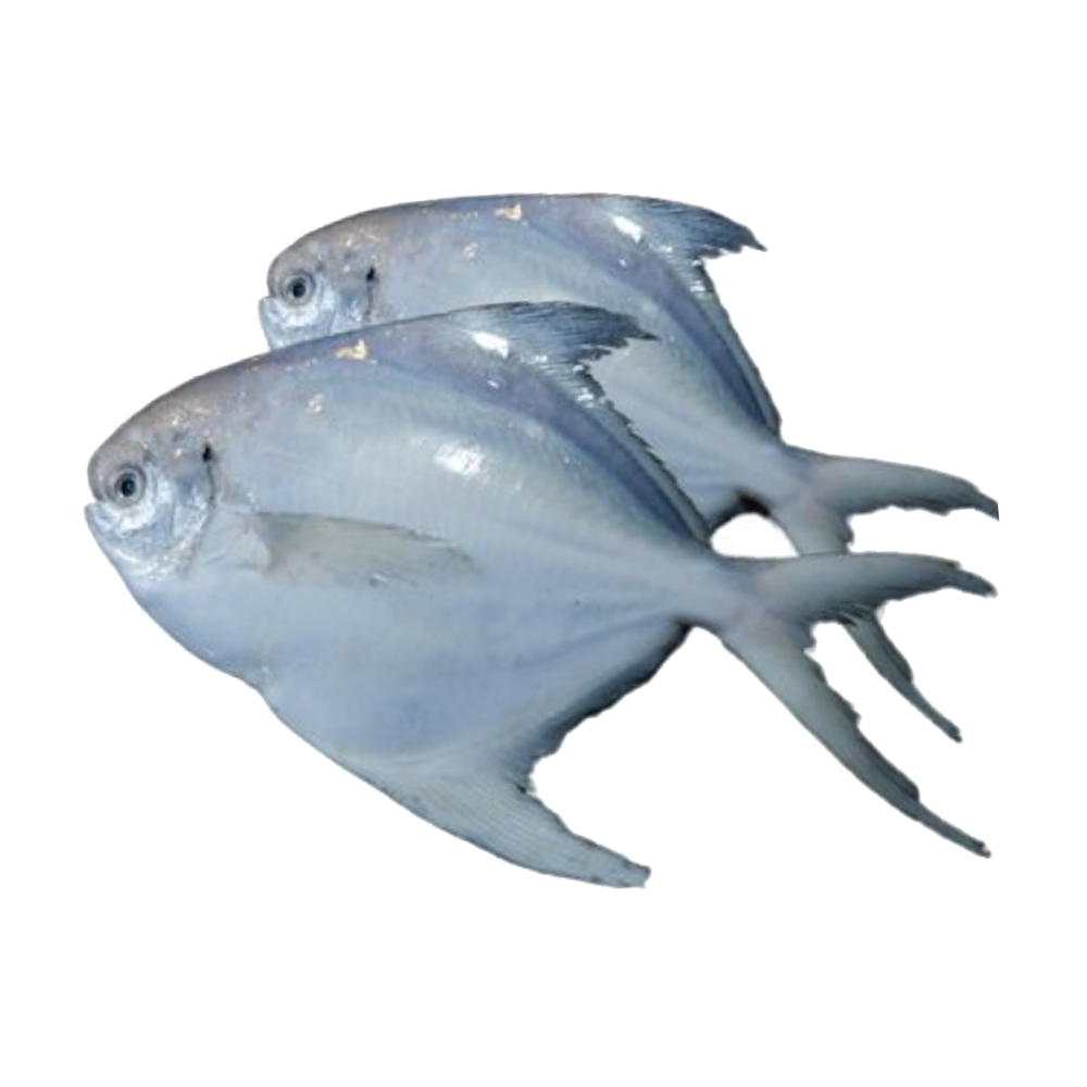 Pomfret Fish - 5 Pieces - 1 KG - 10005