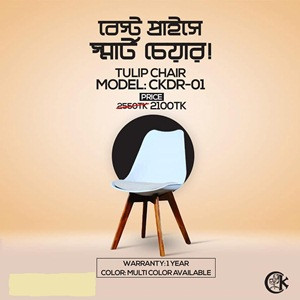 Tulip Chair Model-CKDR-01