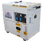 Diesel Generator » Robust D6500E