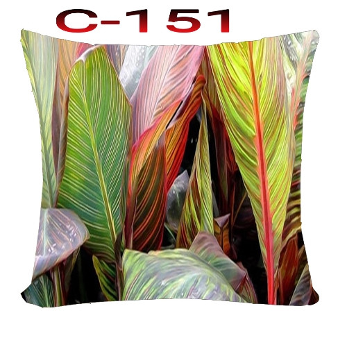 Cushion Cover 16 inch X 16 inch Code-C-151