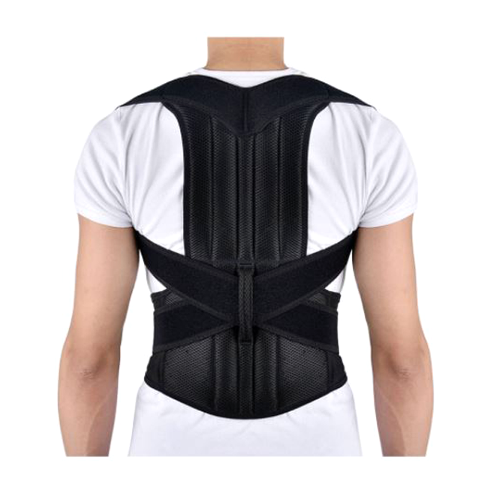 Cotton Back Support Belt - Black - DB-14